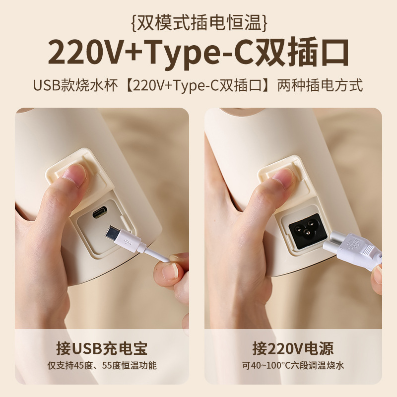 휴대용 미니 전기 주전자, 온도 조절 가열 컵, 사무실 - Electric Kettle Temperature Control 리뷰 및 가격
